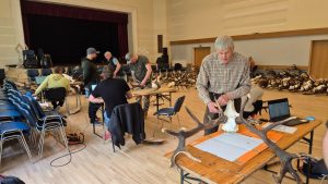 Vīrietis vērtē brieža ragu trofeju izstādes laikā