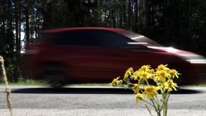 Sarkana automašīna brauc gar dzelteniem ziediem pie ceļa malas