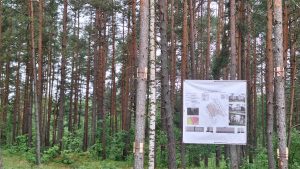 Arhitektūras plāns piestiprināts pie kokiem mežā