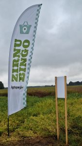 Karogs ar uzrakstu "Zirņu Bingo" lauka vidū