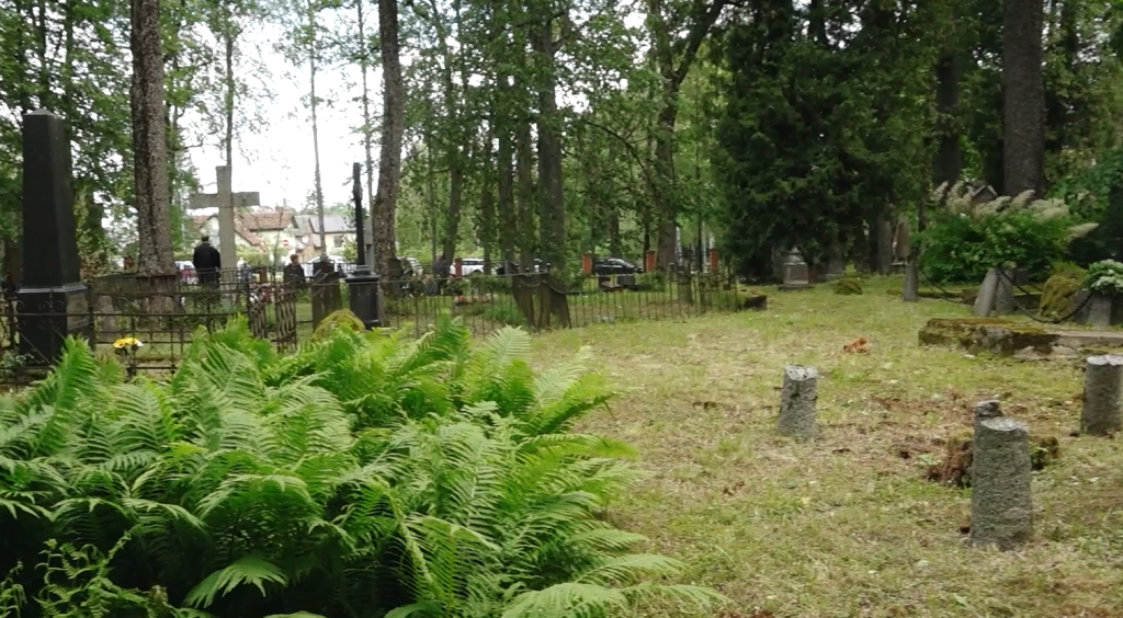Cēsu Vācu kapu ainava ar sūnām apaugušiem kapakmeņiem un papardēm priekšplānā.