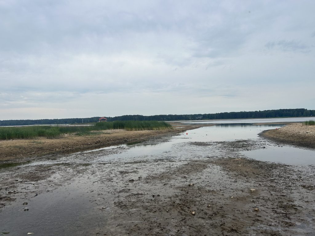 Zems ūdens līmenis upē, atsedzot dubļainu krastu, fonā zāle un koki.