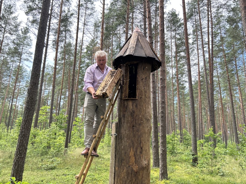 Ivars Rancāns pārbauda bites kūzulī Ogrē