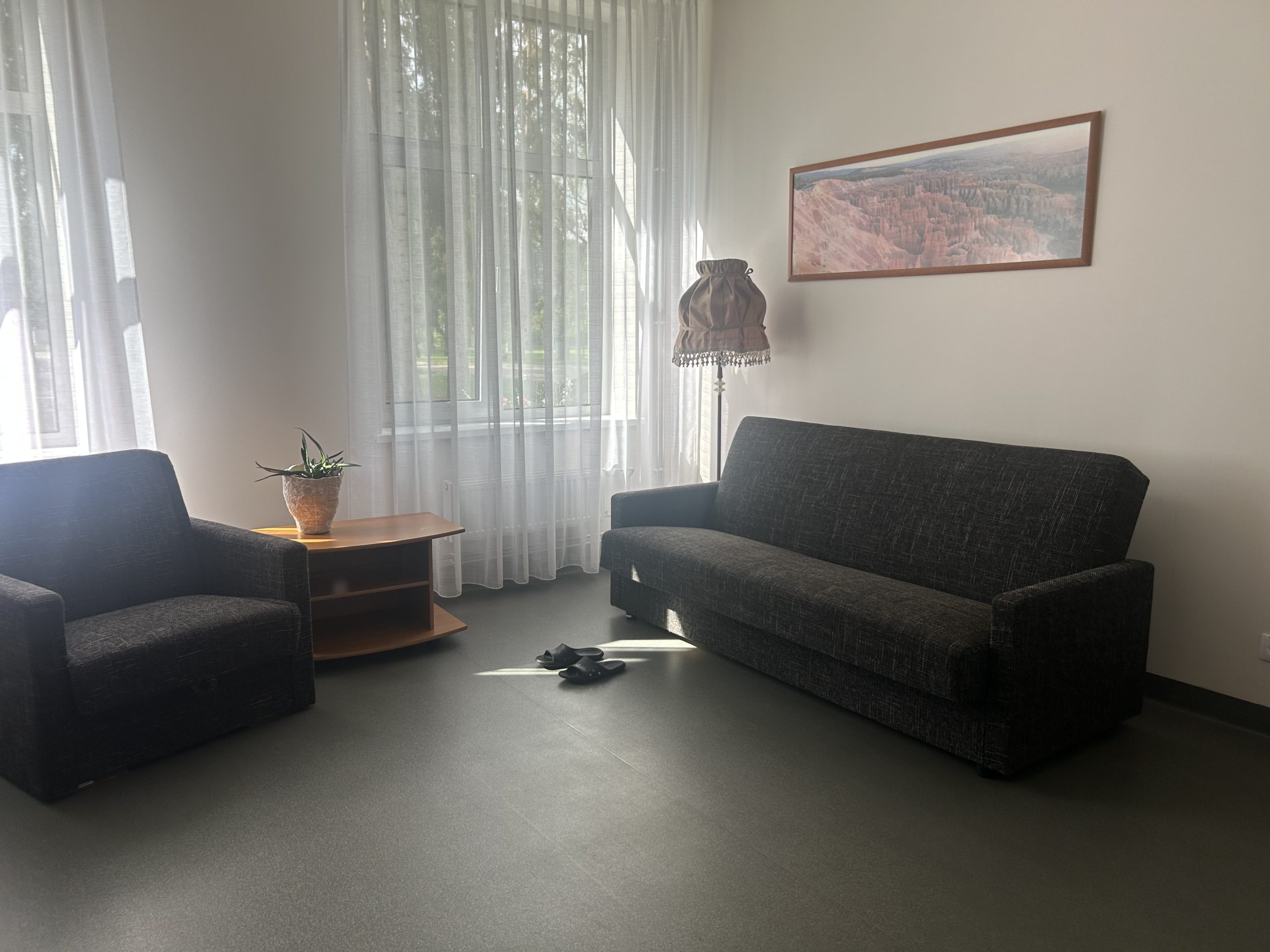 Gaiša viesistaba ar dīvānu, krēslu un telpaugu