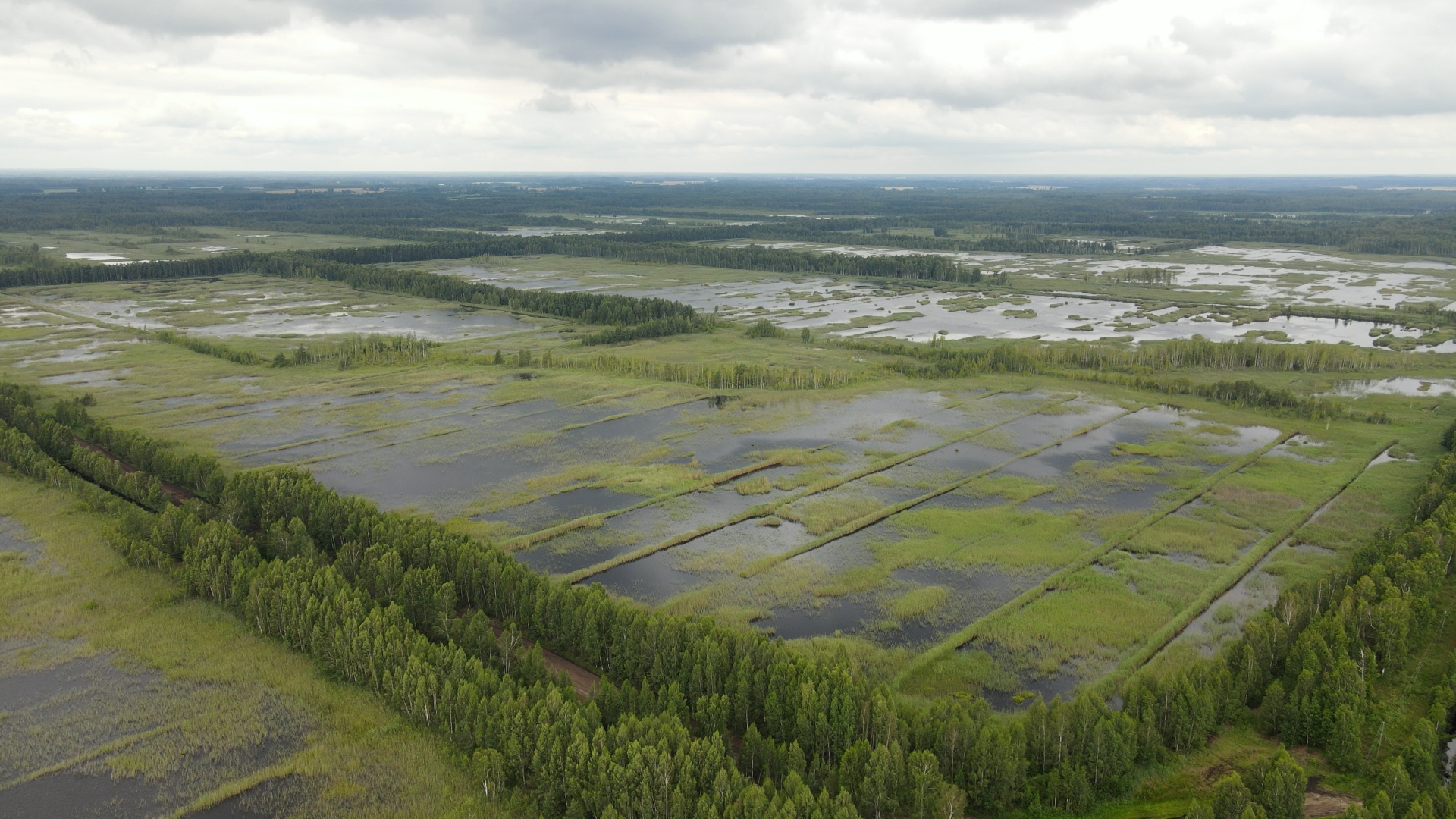 Sedas purvs no putna lidojuma – mitrāju ainava ar ūdens laukumiem un kūdras ieguves struktūrām.