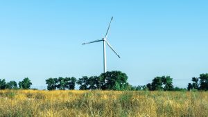 Viena liela, moderna vēja turbīna ar trim lāpstiņām stāv laukā pret zilu, skaidru debesu fonu, ar sausu zāli un kokiem priekšplānā.