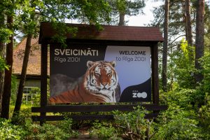 Sveiciena zīme Rīgas Zoodārzā ar tīģera attēlu