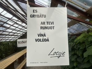 Loesje plakāts latgaliski ar uzrakstu “Es grybātu ar tevi runuot viņā volūdā”