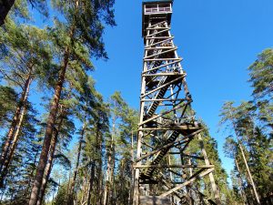 Priedaines skatu tornis Krāslavas pusē, būvēts no koka, starp priežu mežu.