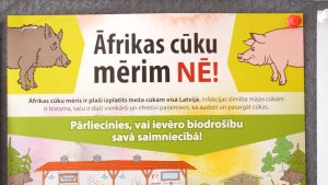 Plakāts ar brīdinājumu par Āfrikas cūku mēri un biodrošības ievērošanu.
