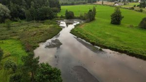 Mūrmuižas ūdenskrātuve ar kūdras sanesumiem pēc Miegupes atjaunošanas darbiem Valmieras novadā.