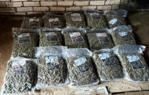 Liels daudzums plastmasas maisos safasētas marihuānas, izlikts uz koka grīdas pret ķieģeļu sienu