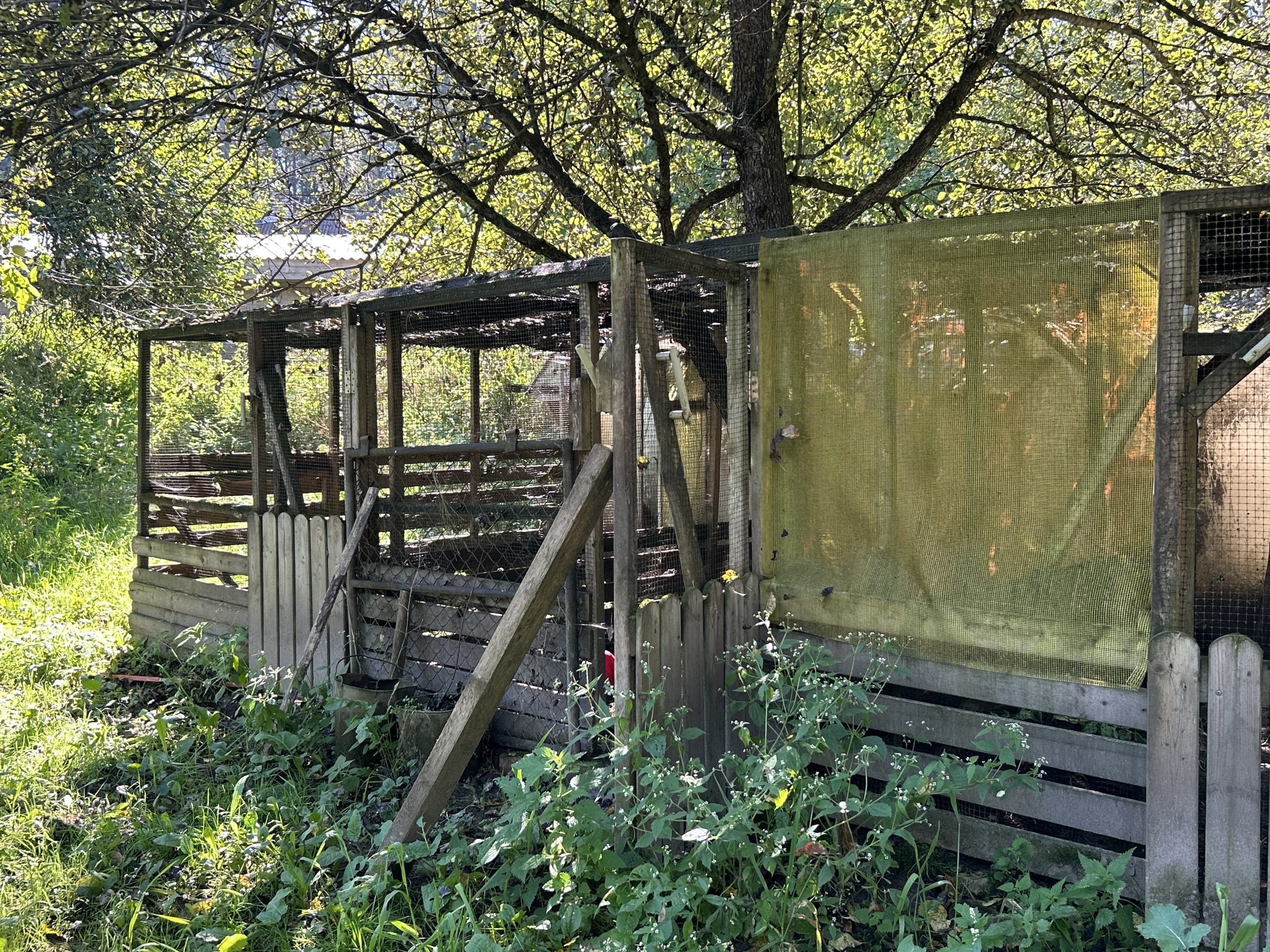 Vecs koka putnu kūts dārzā zem ābeles