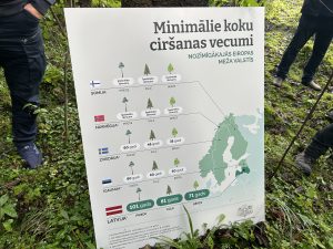 Plakāts ar minimālajiem koku ciršanas vecumiem dažādās Eiropas valstīs, salīdzinot ar Latviju.
