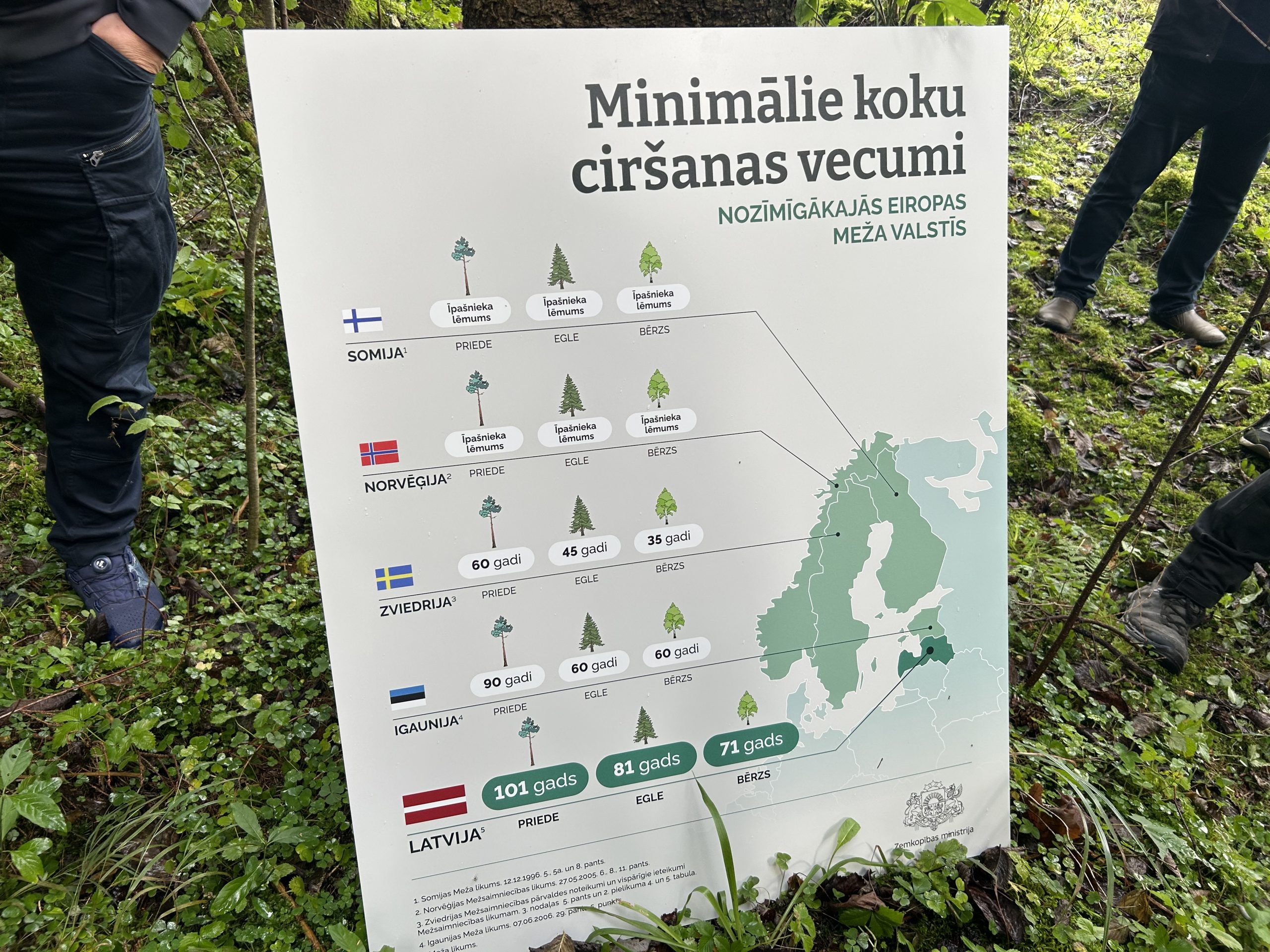 Plakāts ar minimālajiem koku ciršanas vecumiem dažādās Eiropas valstīs, salīdzinot ar Latviju.