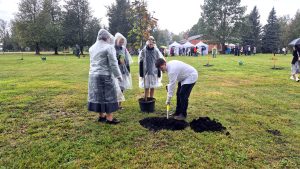 Cilvēki lietus laikā stāda koku Zilānos Laimes koku parkā