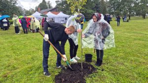 Cilvēki lietus laikā stāda koku Zilānos Laimes koku parkā