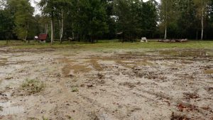 Dubļaina pļava ar peļķēm meža ielokā pēc lietus