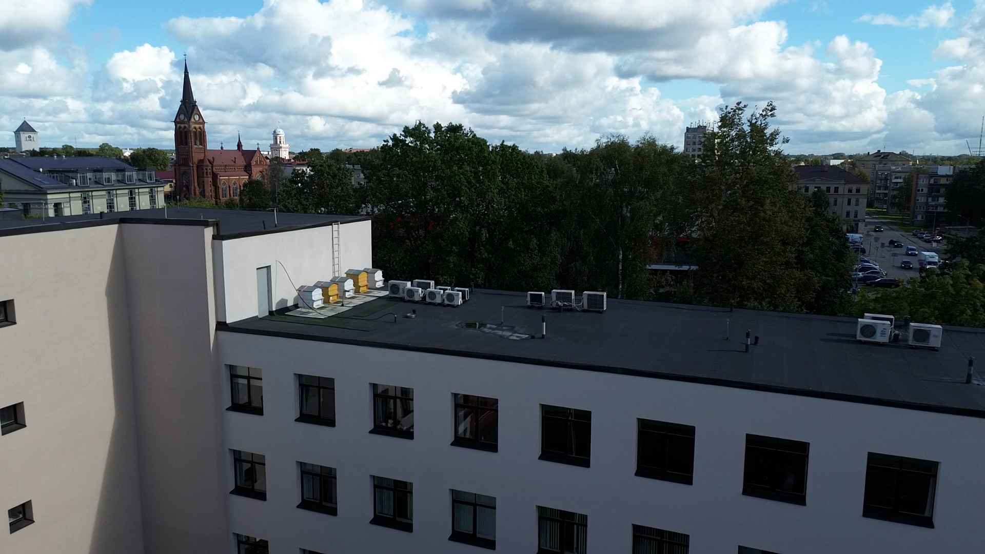 Bišu stropi uz Jelgavas klīnikas jumta – urbānā biškopība pilsētvidē.