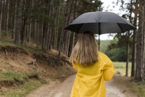Sieviete dzeltenā lietusmētelī ar melnu lietussargu mežā