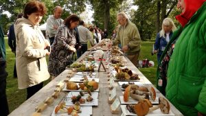 Cilvēki aplūko garu koka galdu ar dažādu sēņu paraugiem Latvijas Sēņu festivālā Mēru muižas parkā.