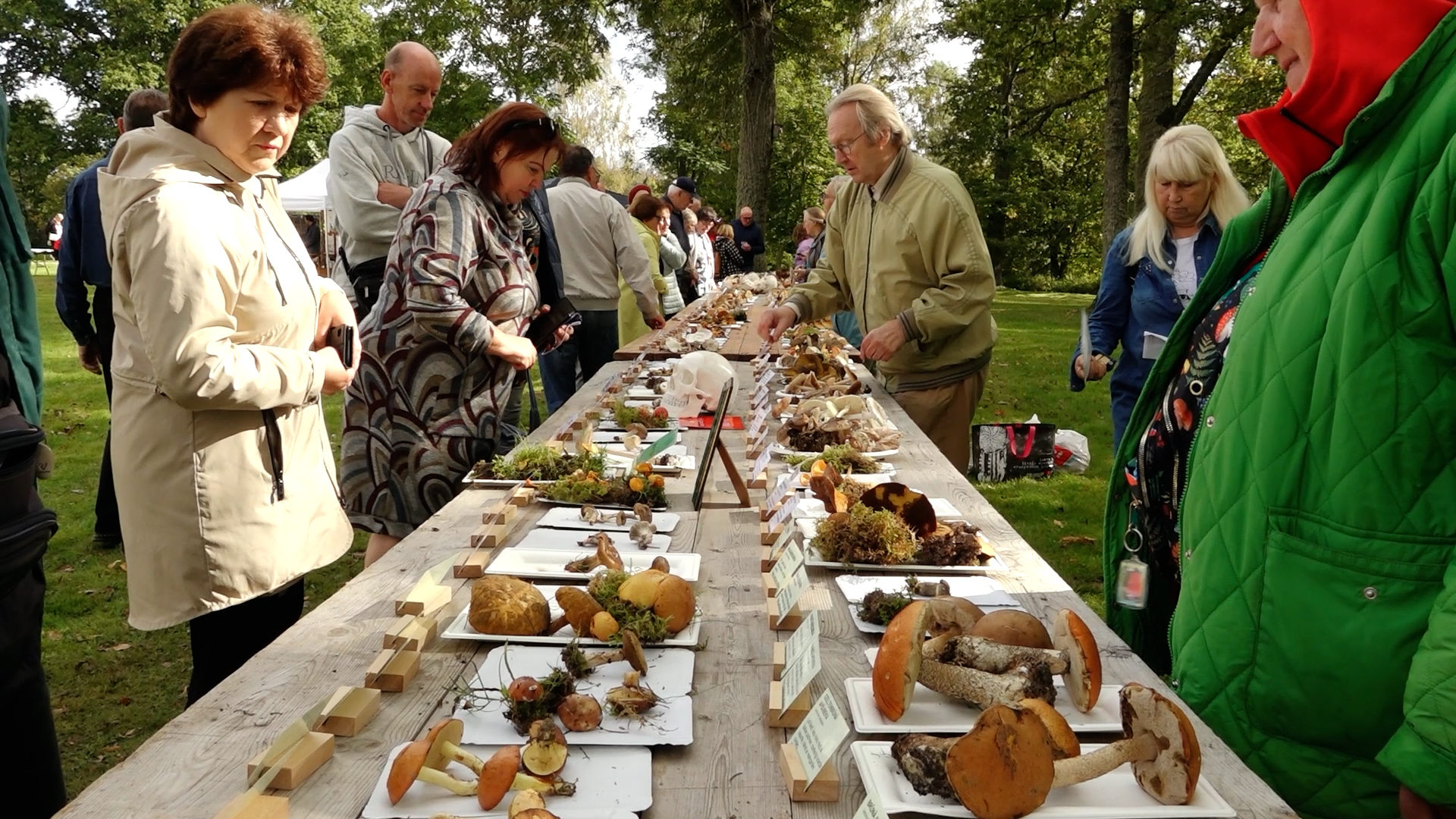 Cilvēki aplūko garu koka galdu ar dažādu sēņu paraugiem Latvijas Sēņu festivālā Mēru muižas parkā.