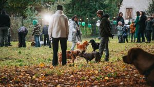 Cilvēki un dažādu šķirņu suņi (īru seters, franču buldogs, špica) rotaļājas suņu laukumā.