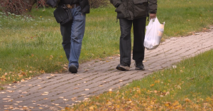 Divi cilvēki iet pa bruģētu celiņu rudenīgā parkā, vienam rokā plastmasas maisiņš.