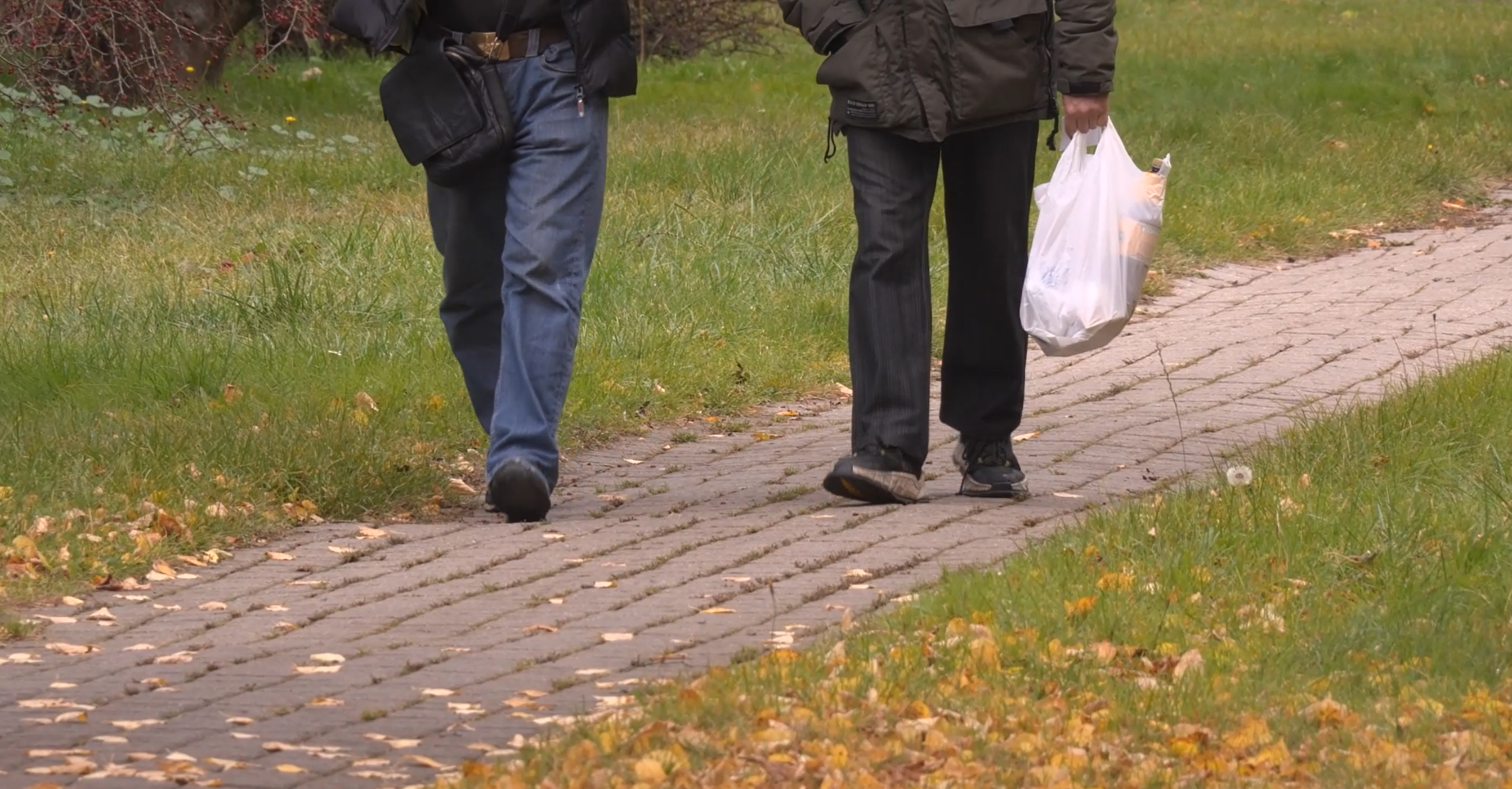 Divi cilvēki iet pa bruģētu celiņu rudenīgā parkā, vienam rokā plastmasas maisiņš.