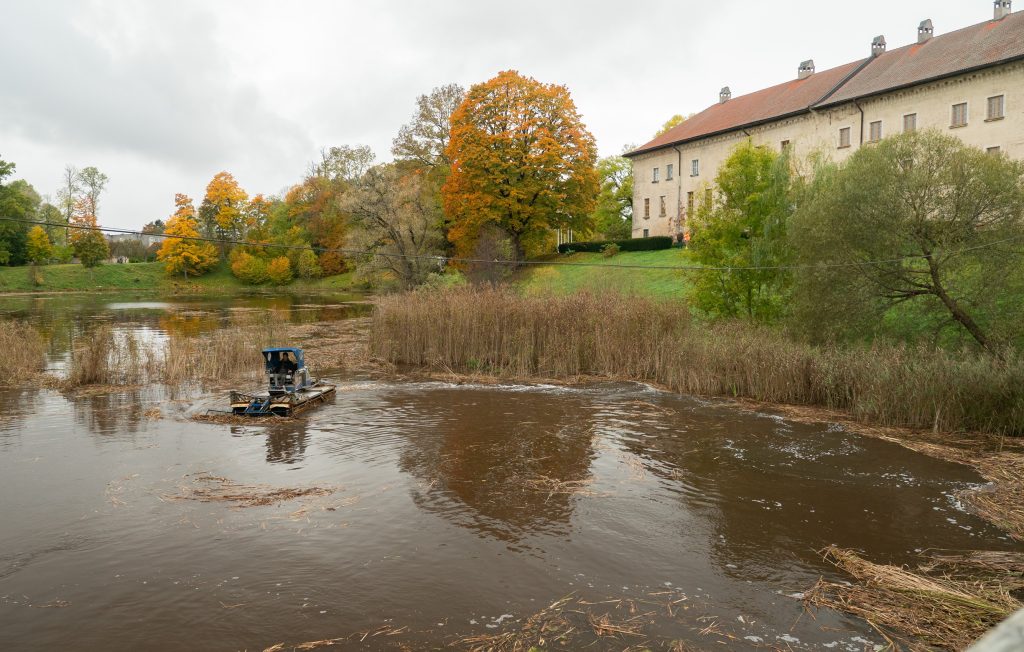 Amfībija dīķī pie Dundagas pils rudenī, tīrot ūdens virsmu no niedru paliekām.