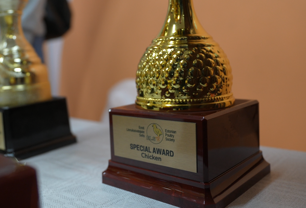 Tuvplāns zelta kausam ar uzrakstu "SPECIAL AWARD Chicken" uz tumši sarkanas pamatnes.