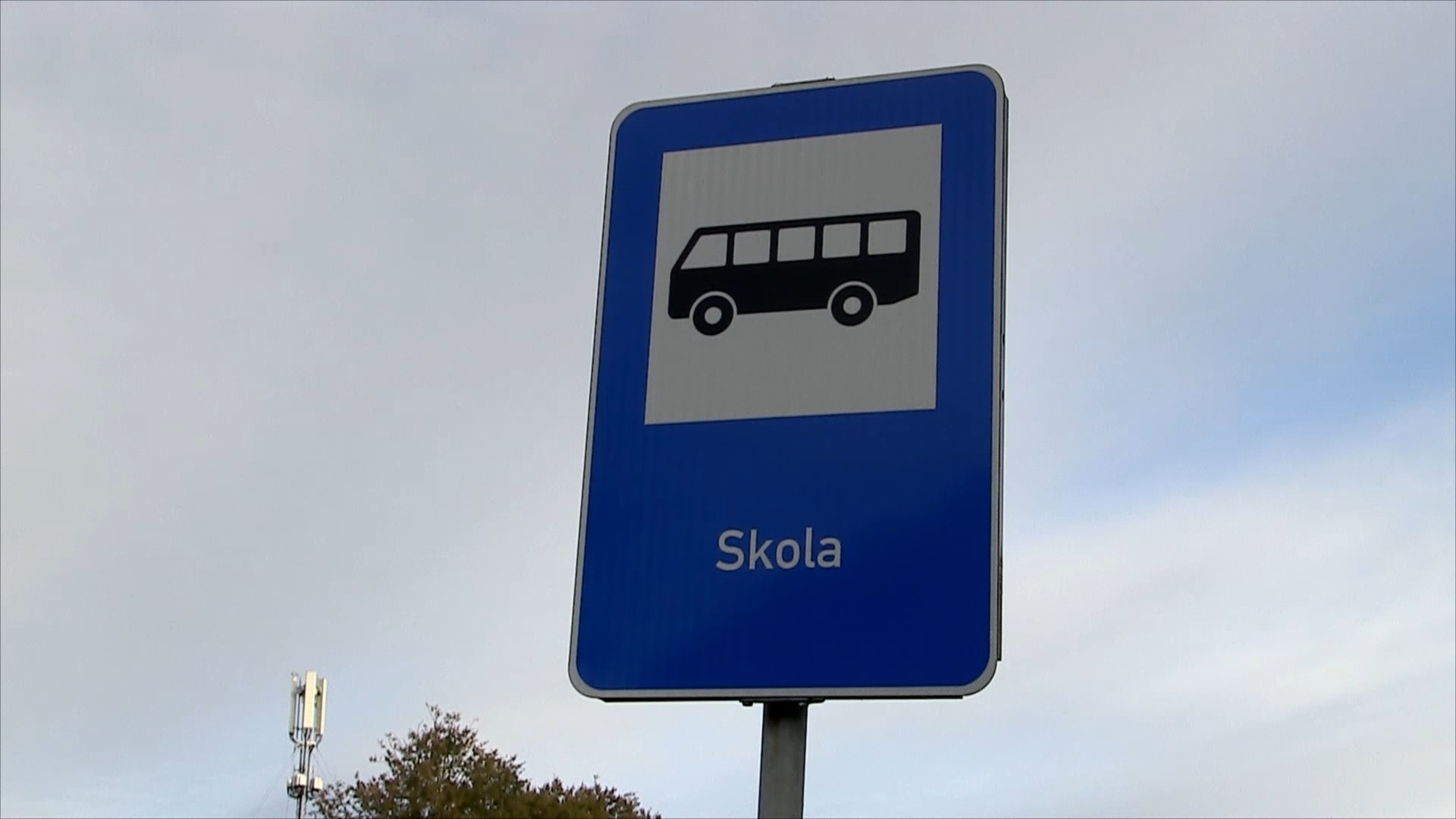Ceļazīme “Skola” pie izglītības iestādes Bauskas novadā.