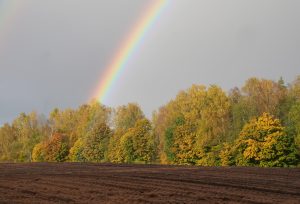 Krāsaina varavīksne pār rudens kokiem un tumšu aramzemi lauka priekšplānā.