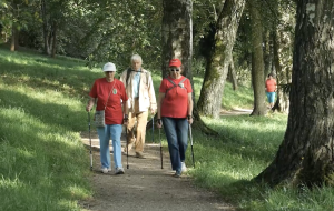 Seniori nūjo pa meža taku saulainā dienā