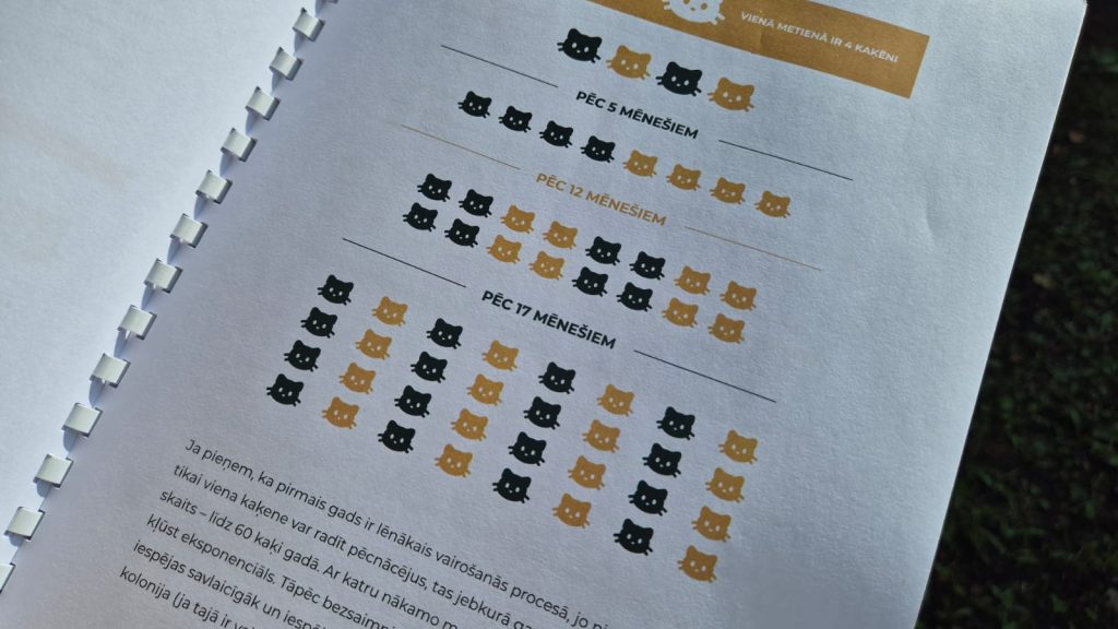 Infografika, kas attēlo kaķu populācijas eksponenciālu pieaugumu laika gaitā (pēc 5, 12, 17 mēnešiem).