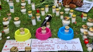 Sveces un ziedi pie Bauskas pašvaldības policijas – piemiņa nošautajiem suņiem.