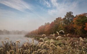 Rudens ainava ar ezeru un krāsainām lapām miglainā rītā