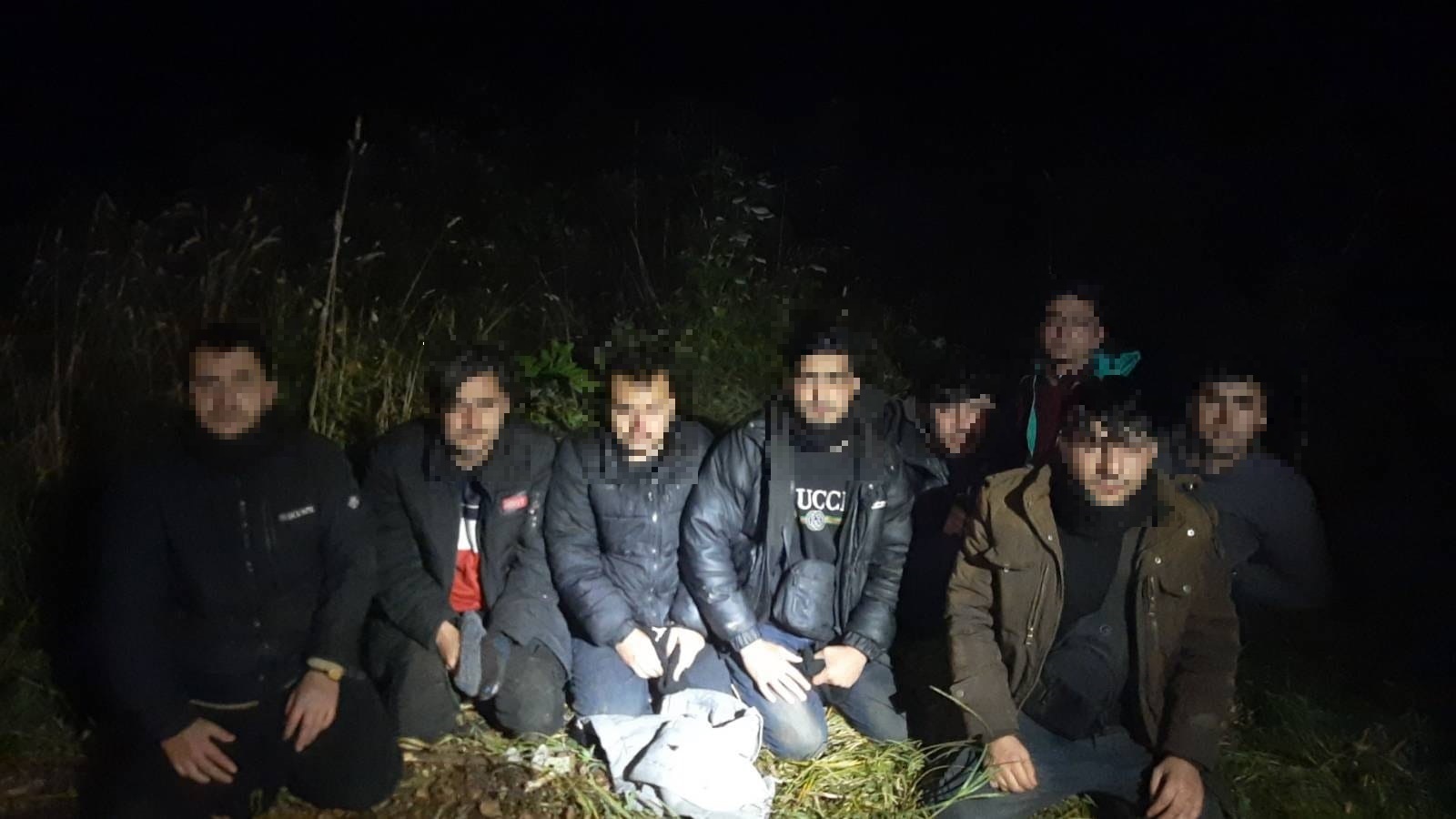 Nelikumīgi imigranti aizturēti uz Latvijas robežas naktī
