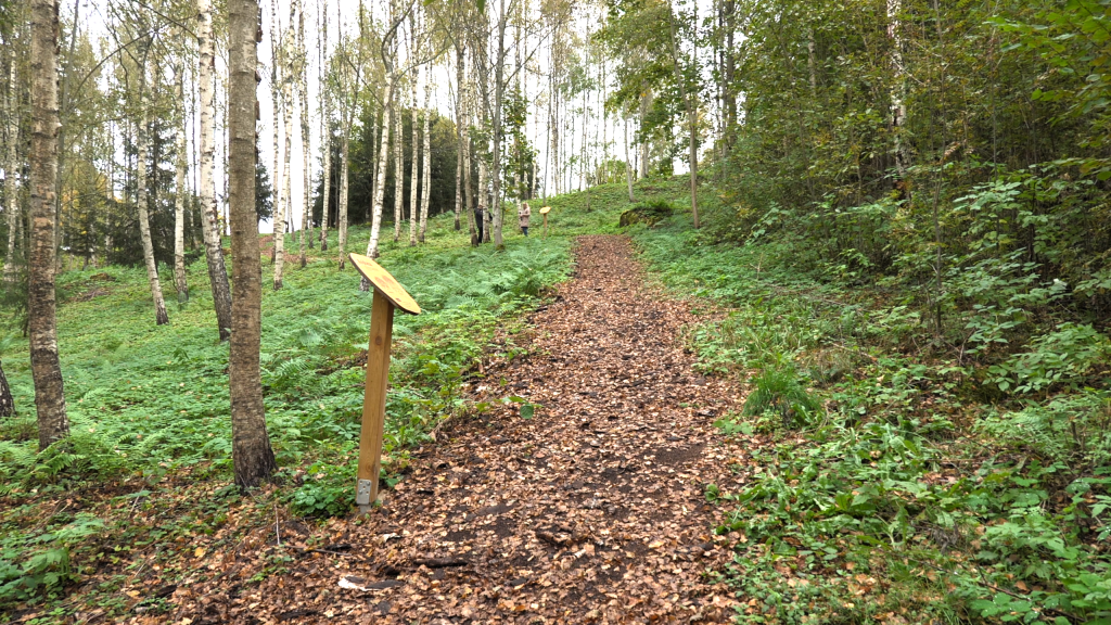 Lapām klāta taka, kas ved augšup pa pauguru, kuru ieskauj bērzi un krūmi Sarkaņkalnā.