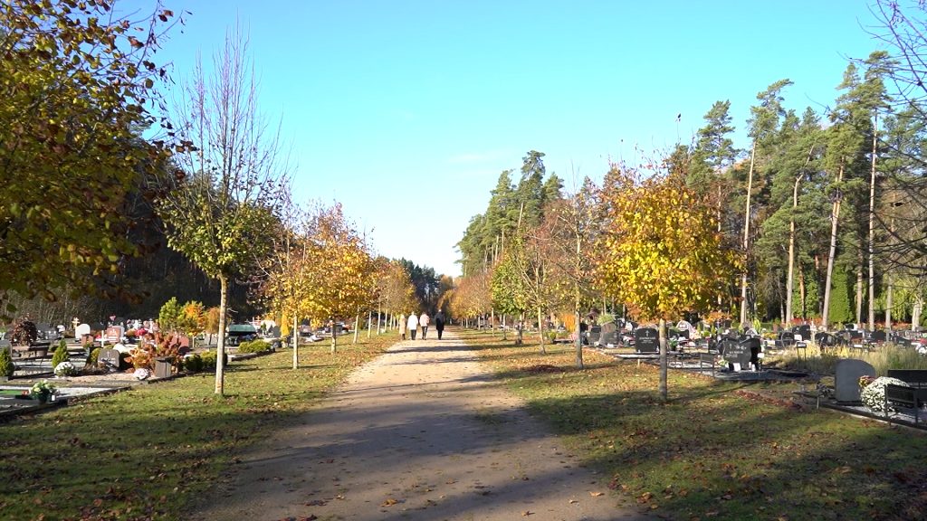 Galvenais ceļš Jelgavas kapsētā ar rudenīgām lapu koku rindām.