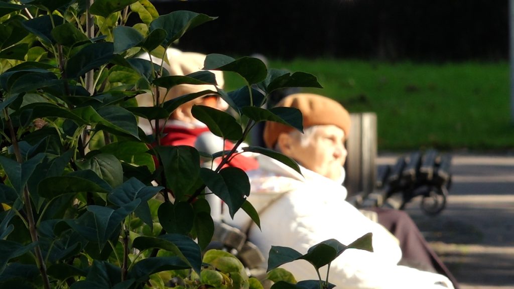 Seniora tuvplāns, kas sēž parkā uz soliņa, ar seju aizsegta ar lapām, rudens saulē.