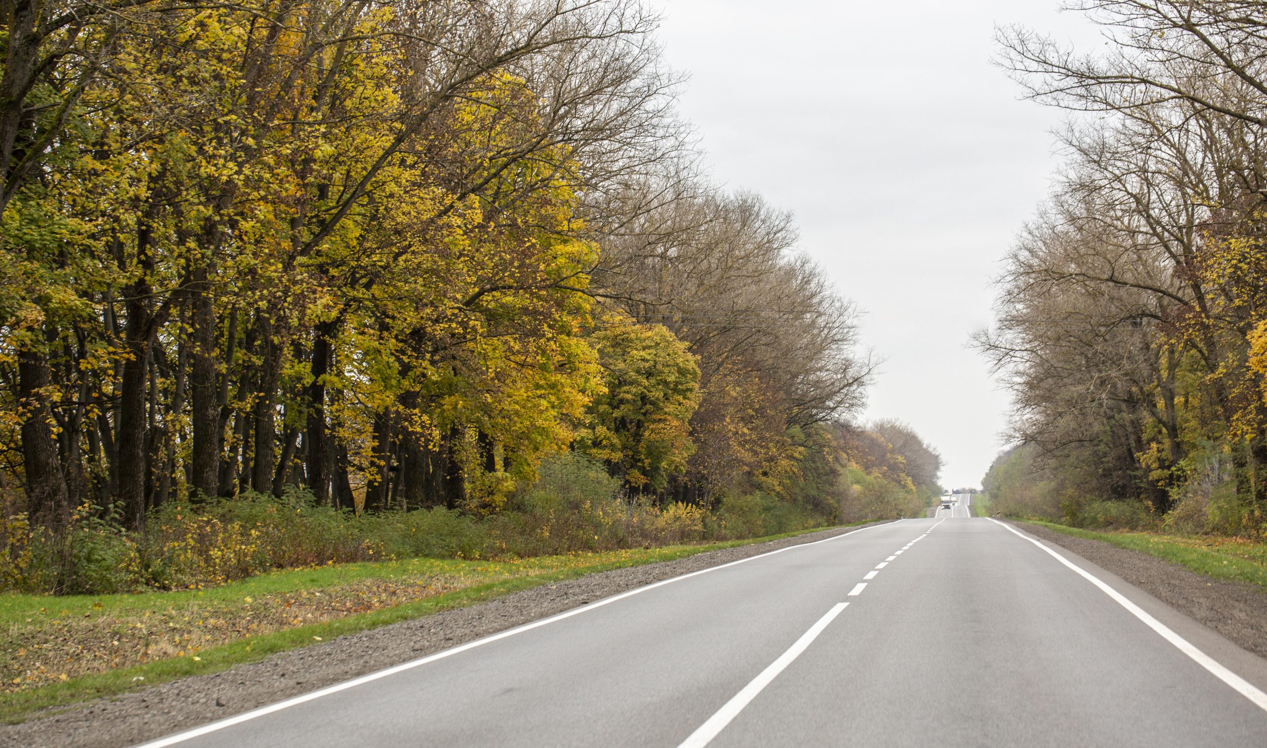 Taisns asfalta ceļš rudens ainavā ar kokiem, kuru lapas iekrāsojušās dzeltenos un brūnos toņos.