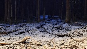 Meža ceļš ar dziļām tehnikas atstātām risēm, kas pārklātas ar plānu sniega kārtu.