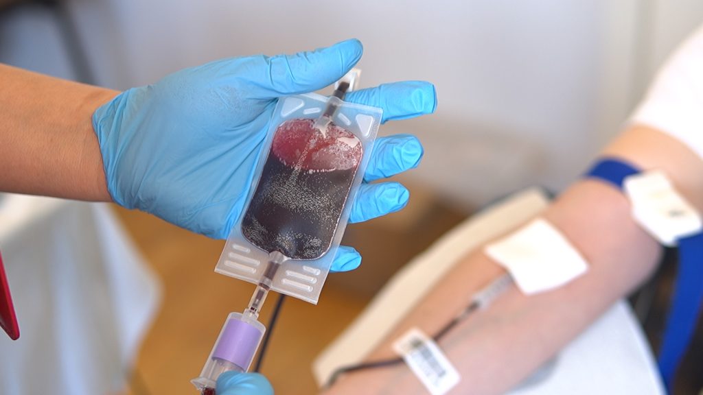 Medmāsa zilajos cimdos tur asins maisiņu donora ziedošanas laikā.