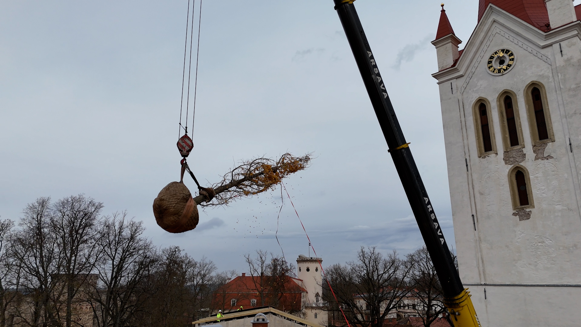 Celtņa strēle debesīs virs Cēsu vecpilsētas, ar paceltu ginka koku, kas tiek transportēts pāri ēkām, blakus baltam baznīcas tornim.