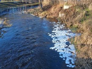 Ledus pankūkas – balti, apaļi ledus veidojumi tumšā upes ūdenī.