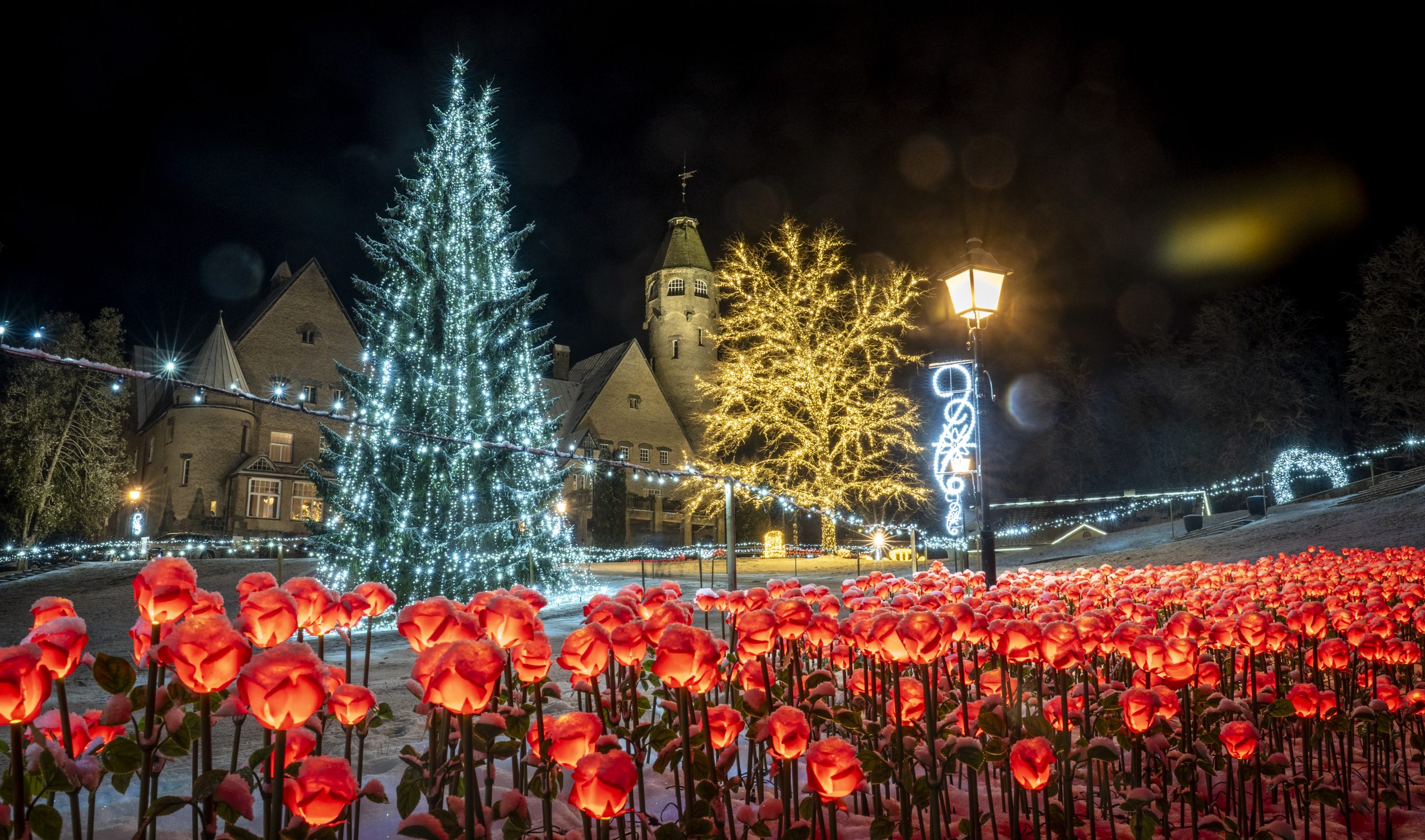 Wagenküll ziemas burvju zeme Taageperas pils parkā