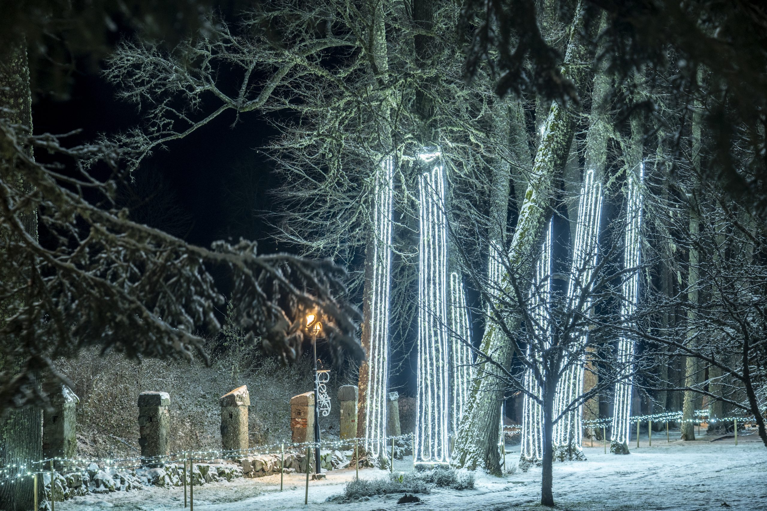 Wagenküll ziemas burvju zeme Taageperas pils parkā