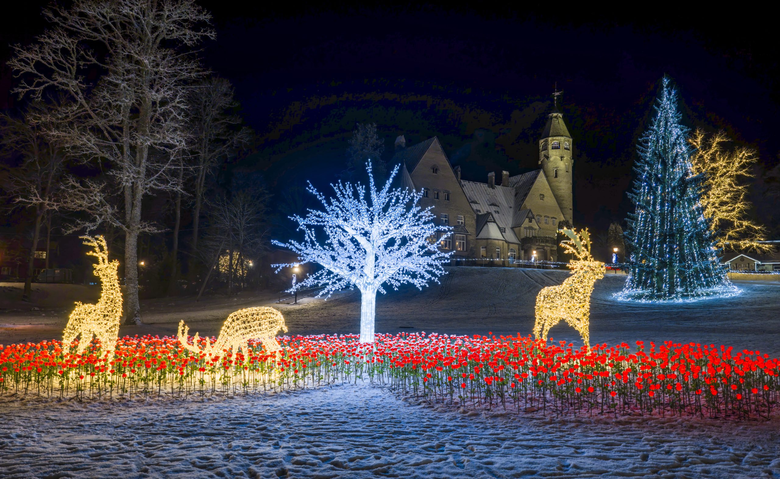 Wagenküll ziemas burvju zeme Taageperas pils parkā