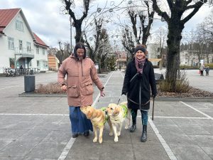 Divas sievietes ziemas apģērbā stāv pilsētas laukumā, katra turot pavadā labradoru, kuriem mugurā ir zaļas servisa suņu vestes.